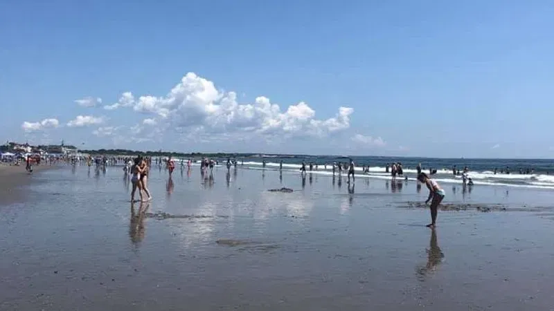 Louisiana Vibrio vulnificus Outbreak: 9 Cases and 5 Deaths Raise New Health Concerns